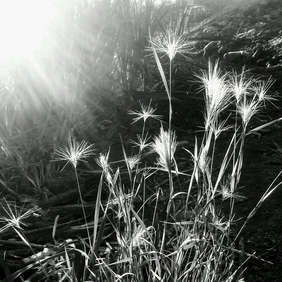 baublesandfrill